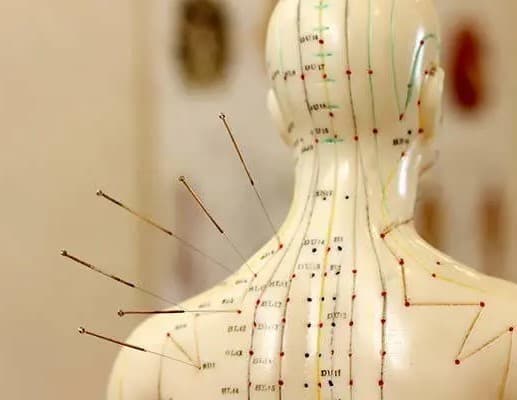 Punti di agopuntura su gamba